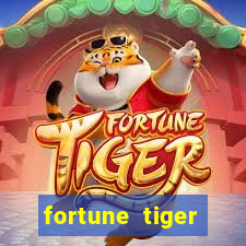 fortune tiger cassino pix